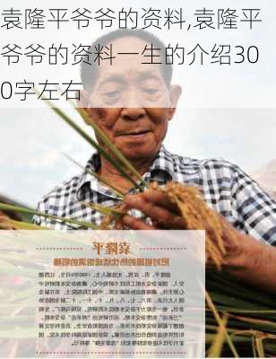 袁隆平爷爷的资料,袁隆平爷爷的资料一生的介绍300字左右