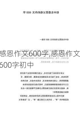 感恩作文600字,感恩作文600字初中-第3张图片-安安范文网