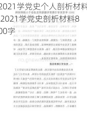 2021学党史个人剖析材料,2021学党史剖析材料800字-第1张图片-安安范文网