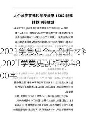 2021学党史个人剖析材料,2021学党史剖析材料800字-第3张图片-安安范文网