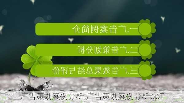 广告策划案例分析,广告策划案例分析ppT-第1张图片-安安范文网