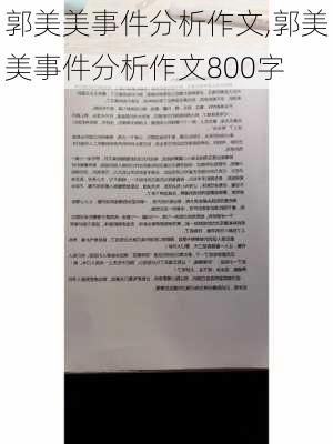 郭美美事件分析作文,郭美美事件分析作文800字