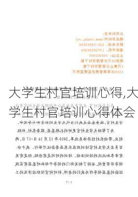 大学生村官培训心得,大学生村官培训心得体会-第1张图片-安安范文网