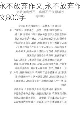 永不放弃作文,永不放弃作文800字-第2张图片-安安范文网