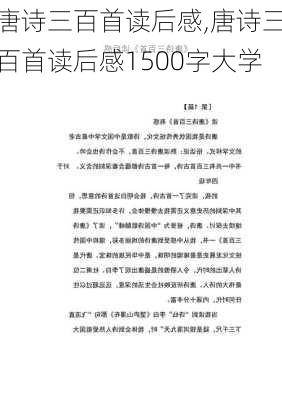 唐诗三百首读后感,唐诗三百首读后感1500字大学-第1张图片-安安范文网