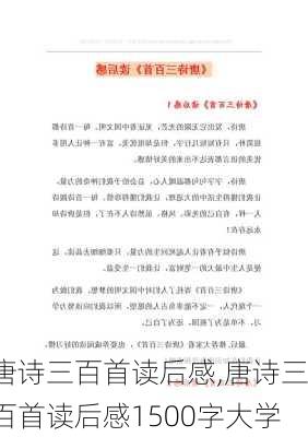 唐诗三百首读后感,唐诗三百首读后感1500字大学-第3张图片-安安范文网