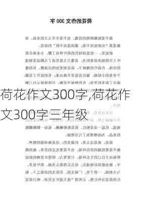 荷花作文300字,荷花作文300字三年级-第1张图片-安安范文网