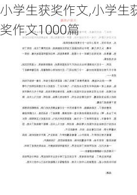 小学生获奖作文,小学生获奖作文1000篇-第1张图片-安安范文网