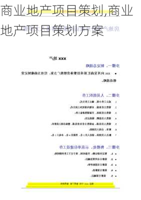 商业地产项目策划,商业地产项目策划方案-第3张图片-安安范文网