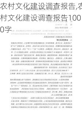 农村文化建设调查报告,农村文化建设调查报告1000字-第3张图片-安安范文网