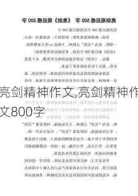 亮剑精神作文,亮剑精神作文800字-第3张图片-安安范文网