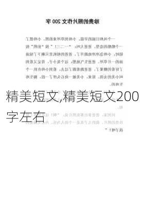 精美短文,精美短文200字左右-第2张图片-安安范文网