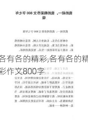 各有各的精彩,各有各的精彩作文800字-第3张图片-安安范文网