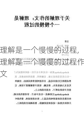 理解是一个慢慢的过程,理解是一个慢慢的过程作文-第1张图片-安安范文网