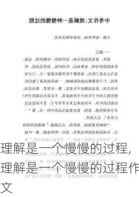 理解是一个慢慢的过程,理解是一个慢慢的过程作文-第2张图片-安安范文网