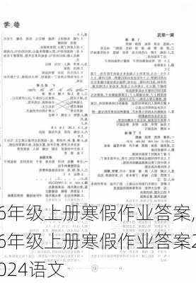 6年级上册寒假作业答案,6年级上册寒假作业答案2024语文-第3张图片-安安范文网