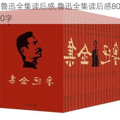 鲁迅全集读后感,鲁迅全集读后感800字-第1张图片-安安范文网