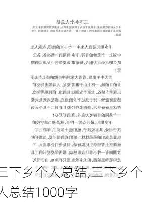 三下乡个人总结,三下乡个人总结1000字-第2张图片-安安范文网