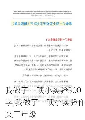 我做了一项小实验300字,我做了一项小实验作文三年级-第2张图片-安安范文网