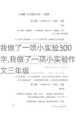 我做了一项小实验300字,我做了一项小实验作文三年级-第3张图片-安安范文网