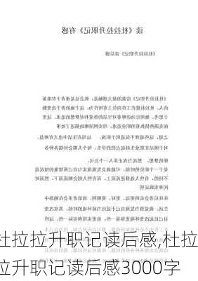 杜拉拉升职记读后感,杜拉拉升职记读后感3000字-第3张图片-安安范文网