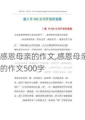 感恩母亲的作文,感恩母亲的作文500字-第1张图片-安安范文网