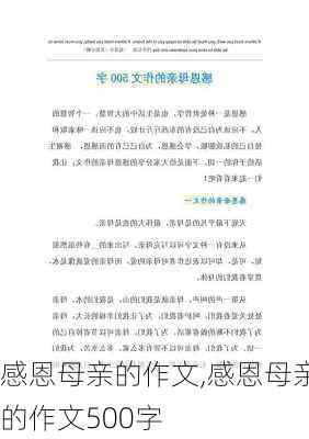 感恩母亲的作文,感恩母亲的作文500字-第2张图片-安安范文网