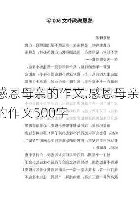 感恩母亲的作文,感恩母亲的作文500字-第3张图片-安安范文网