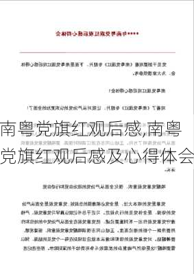 南粤党旗红观后感,南粤党旗红观后感及心得体会-第3张图片-安安范文网