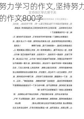 努力学习的作文,坚持努力的作文800字