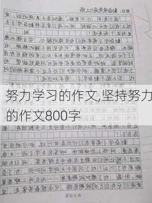 努力学习的作文,坚持努力的作文800字-第2张图片-安安范文网