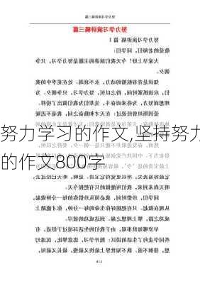 努力学习的作文,坚持努力的作文800字-第3张图片-安安范文网