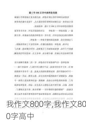 我作文800字,我作文800字高中-第1张图片-安安范文网