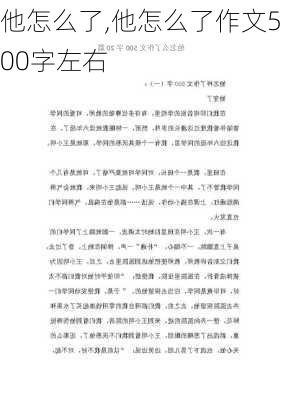 他怎么了,他怎么了作文500字左右-第1张图片-安安范文网