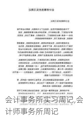 会计事务所实习周记,会计师事务所周记-第3张图片-安安范文网