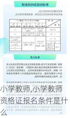 小学教师,小学教师资格证报名条件是什么