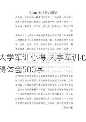 大学军训心得,大学军训心得体会500字-第2张图片-安安范文网