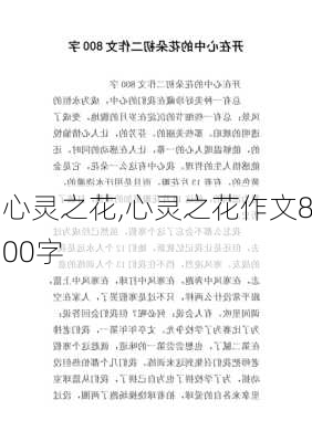 心灵之花,心灵之花作文800字-第3张图片-安安范文网