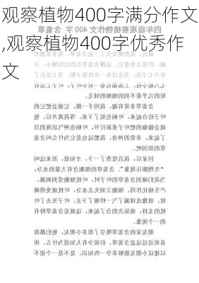 观察植物400字满分作文,观察植物400字优秀作文-第2张图片-安安范文网