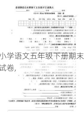 小学语文五年级下册期末试卷,-第1张图片-安安范文网