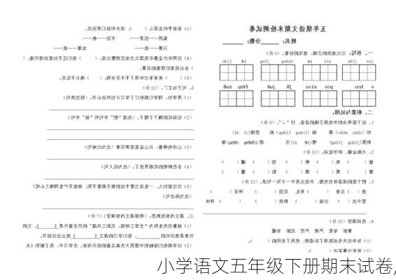 小学语文五年级下册期末试卷,-第2张图片-安安范文网