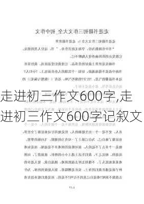 走进初三作文600字,走进初三作文600字记叙文-第2张图片-安安范文网