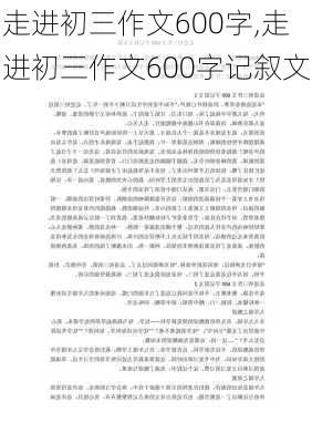 走进初三作文600字,走进初三作文600字记叙文-第1张图片-安安范文网