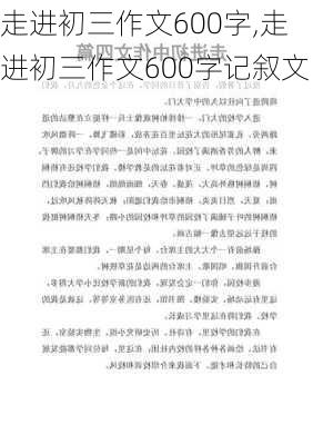 走进初三作文600字,走进初三作文600字记叙文-第3张图片-安安范文网