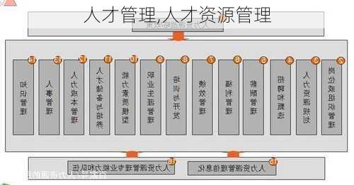 人才管理,人才资源管理-第1张图片-安安范文网