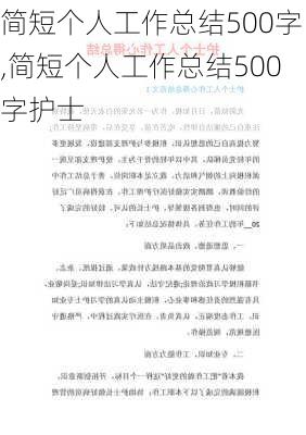 简短个人工作总结500字,简短个人工作总结500字护士-第2张图片-安安范文网