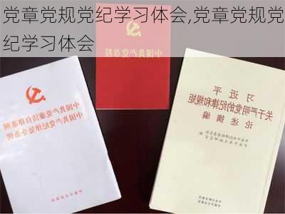 党章党规党纪学习体会,党章党规党纪学习体会-第1张图片-安安范文网