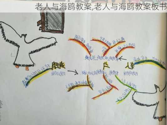 老人与海鸥教案,老人与海鸥教案板书-第2张图片-安安范文网