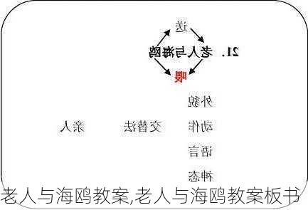 老人与海鸥教案,老人与海鸥教案板书-第3张图片-安安范文网