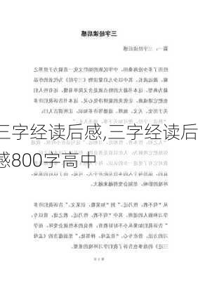 三字经读后感,三字经读后感800字高中-第3张图片-安安范文网